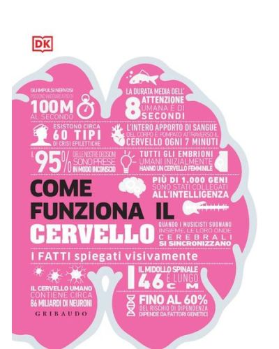 Come funziona il cervello