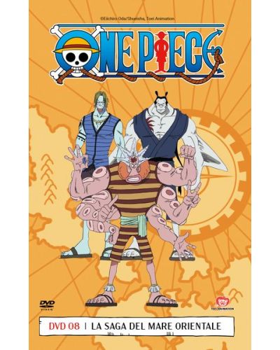 One Piece (DVD)