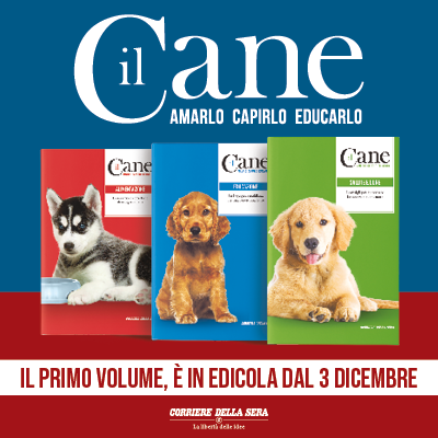 IL CANE - Amarlo, capirlo, educarlo